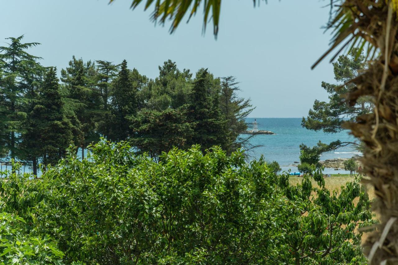 Mijat * Novigrad Istria