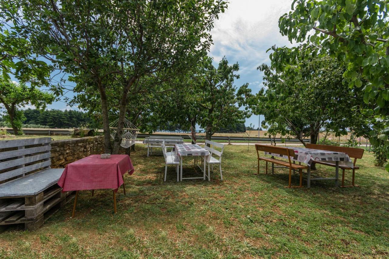 Mijat * Novigrad (Istria)