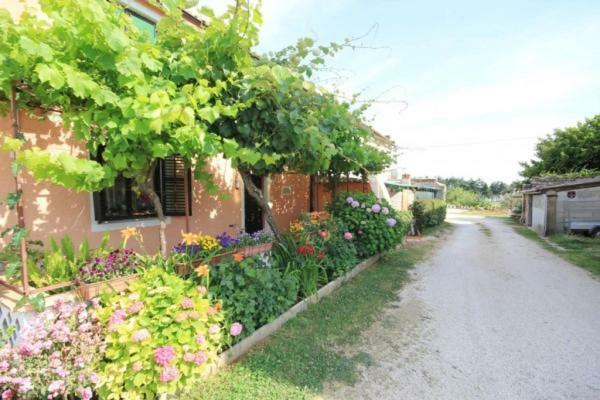Apartament Mijat *